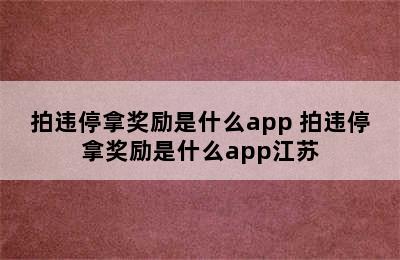 拍违停拿奖励是什么app 拍违停拿奖励是什么app江苏